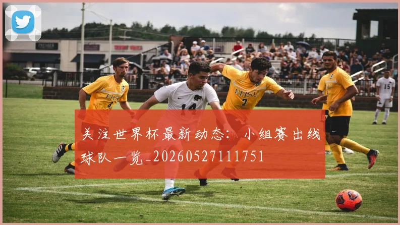 关注世界杯最新动态:小组赛出线球队一览_20260527111751