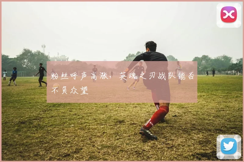 粉丝呼声高涨，英魂之刃战队能否不负众望