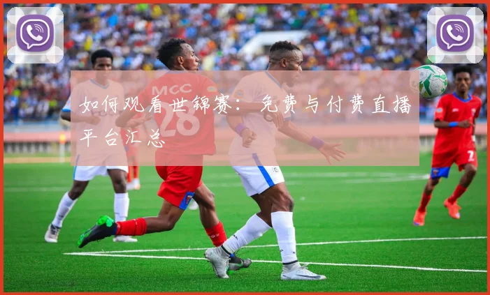 如何观看世锦赛:免费与付费直播平台汇总