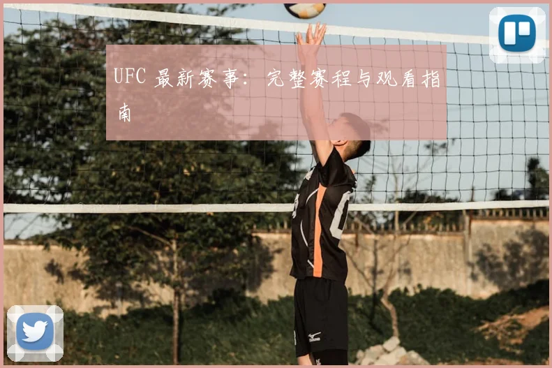 UFC 最新赛事:完整赛程与观看指南