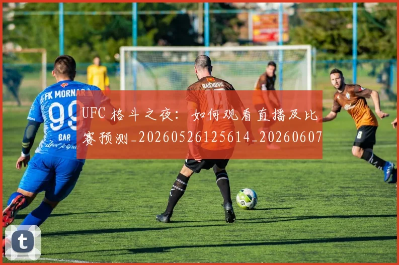 UFC 格斗之夜:如何观看直播及比赛预测_20260526125614_20260607160303