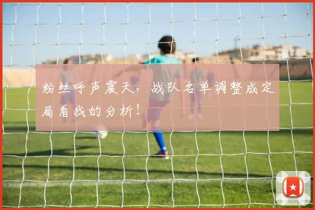 粉丝呼声震天,战队名单调整成定局看我的分析!