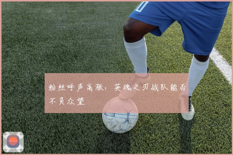 粉丝呼声高涨，英魂之刃战队能否不负众望